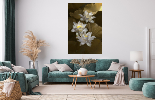 Bílý lotus